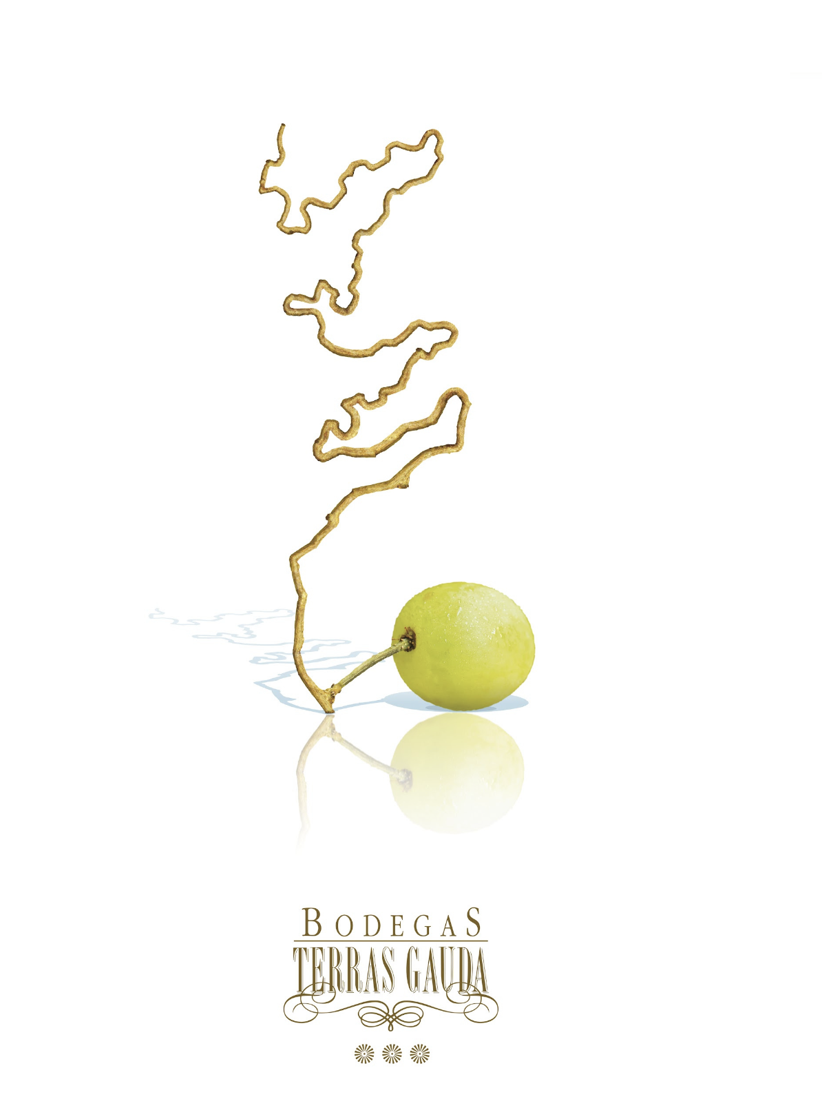 Terras Gauda poster with a grape and vine silhouette